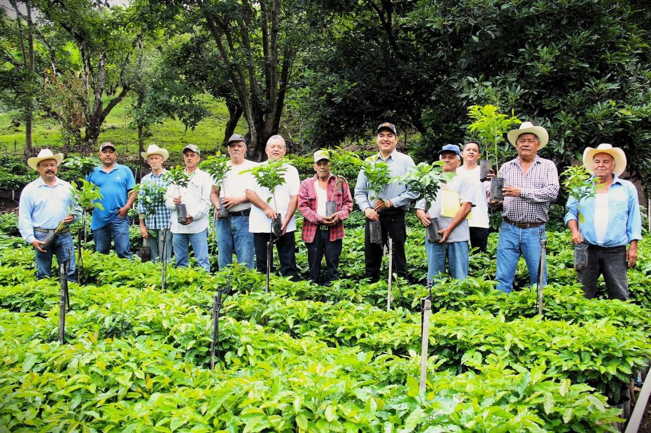Heriberto Castañeda junto a personas en cultivos de café