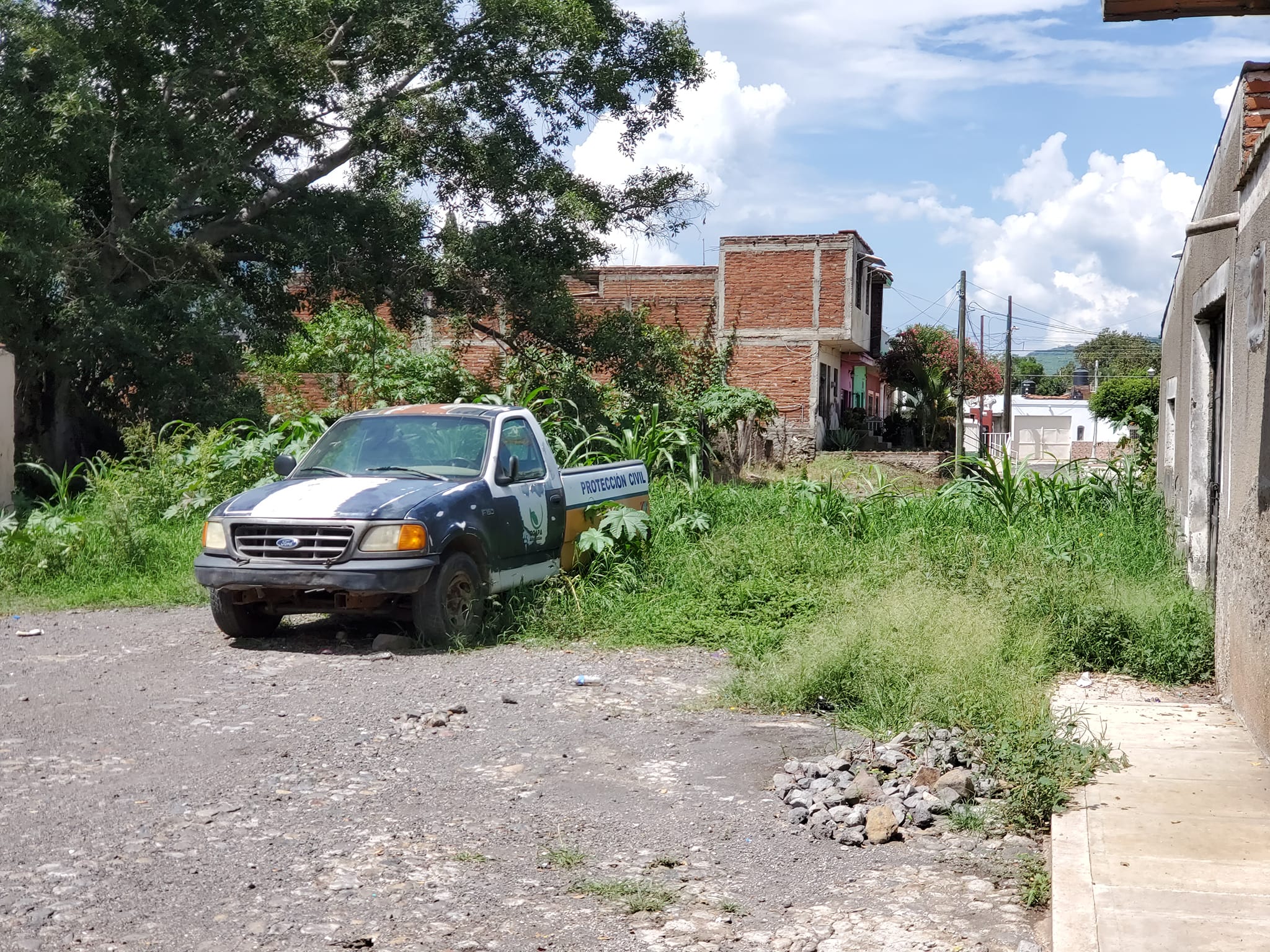 Camioneta abandonada dentro del pasto