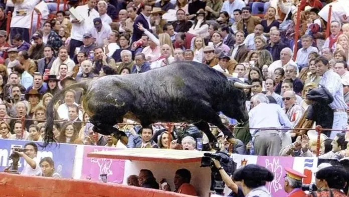 Toro el Pajarito saltando en la Plaza México