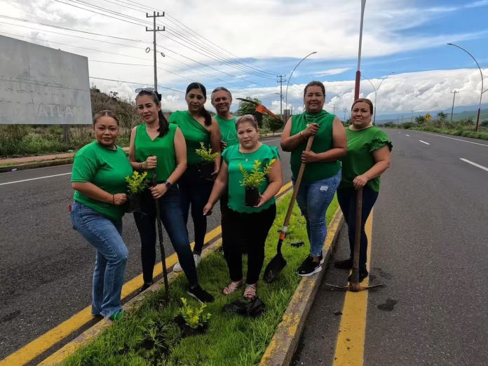 Personal del ayuntamiento reforestando