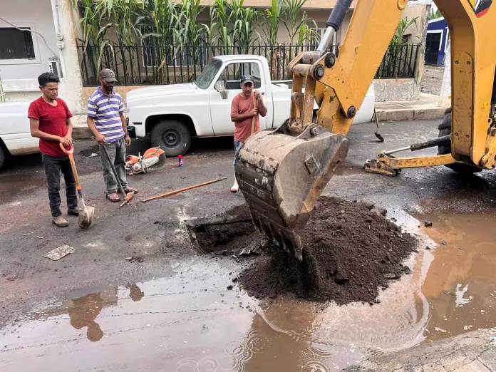 Excavadora, excavando