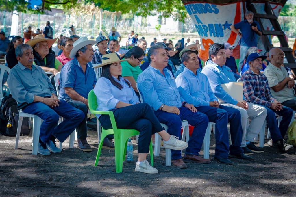 Concurso de la mazorca más grande del mundo destaca el valor del maíz raza Jala