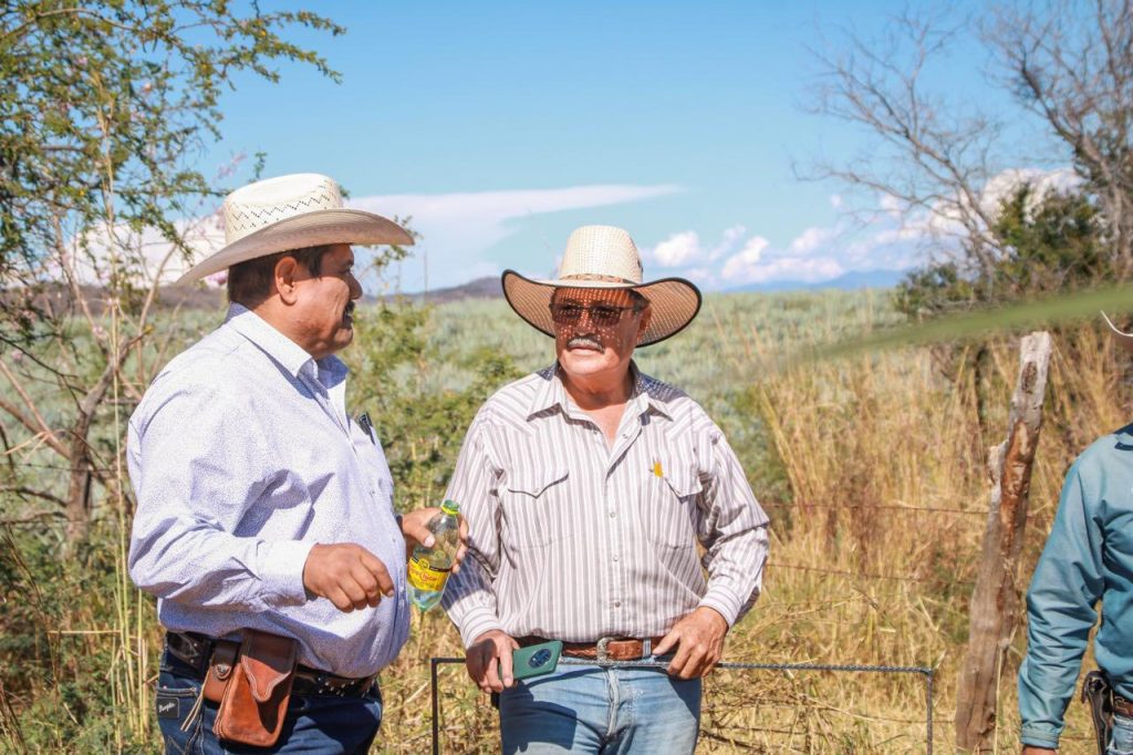 Impulso al sector ganadero en Santa María del Oro con evaluación de parcela demostrativa de forrajes