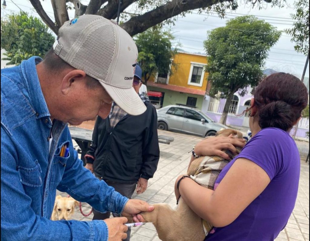 Realizan Jornada de Vacunación Antirrábica Canina y Felina en La Pila del Arenal, Jala 1 Realizan Jornada de Vacunación Antirrábica Canina y Felina en La Pila del Arenal, Jala