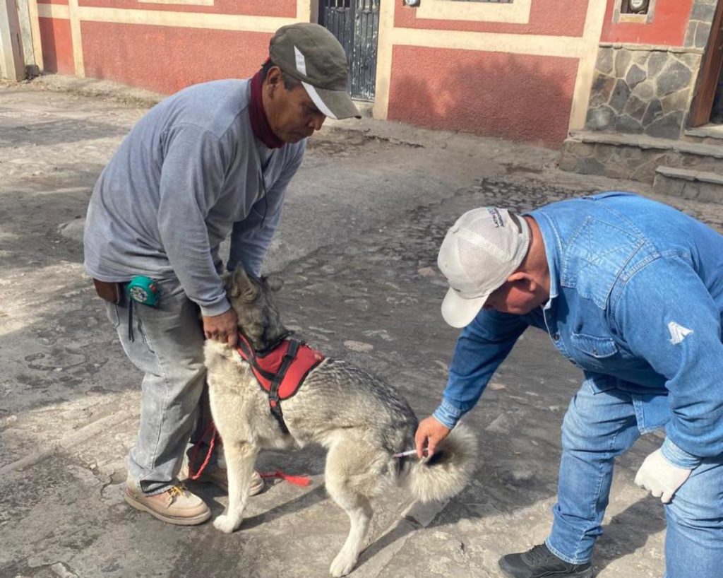 Realizan Jornada de Vacunación Antirrábica Canina y Felina en La Pila del Arenal, Jala 2 Realizan Jornada de Vacunación Antirrábica Canina y Felina en La Pila del Arenal, Jala