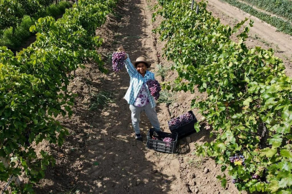 Acercan Programas para el Campo 2026 a productoras y productores de Aguascalientes
