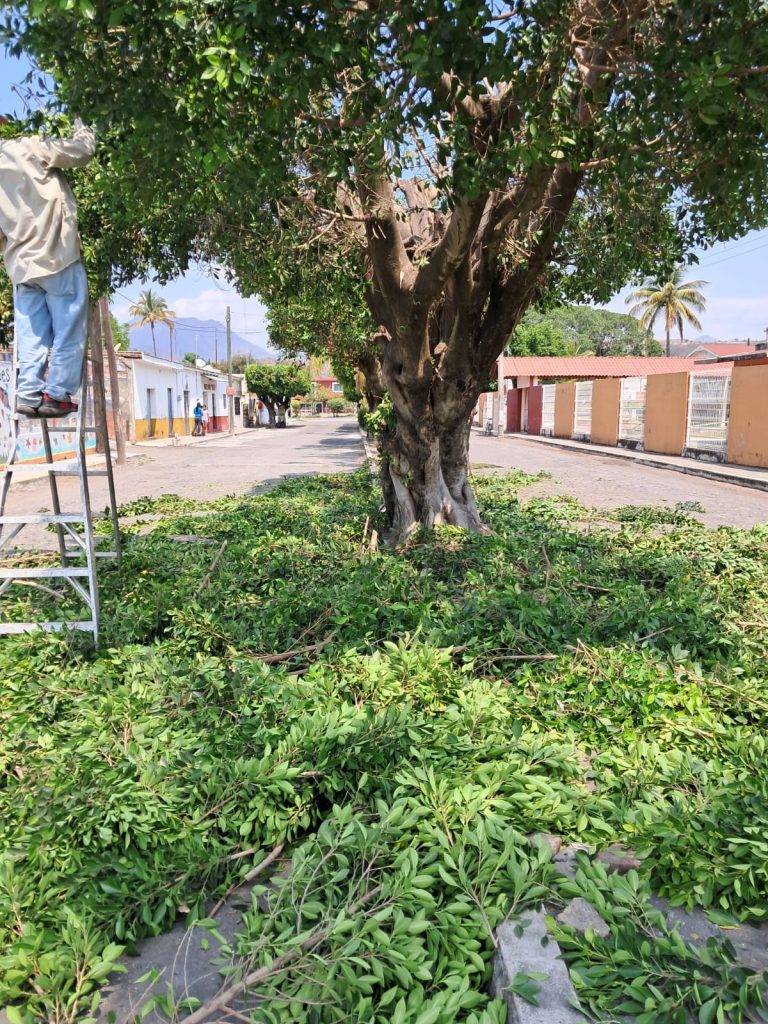 Gobierno de Ahuacatlán refuerza labores de servicios públicos para mejorar la imagen urbana