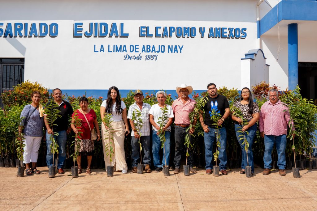 Impulsan rehabilitación de huertos de guanábana en Compostela con entrega de 10 mil plantas