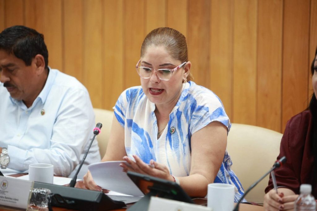 Exhortan a ayuntamientos de Nayarit a cumplir normativa de movilidad y accesibilidad