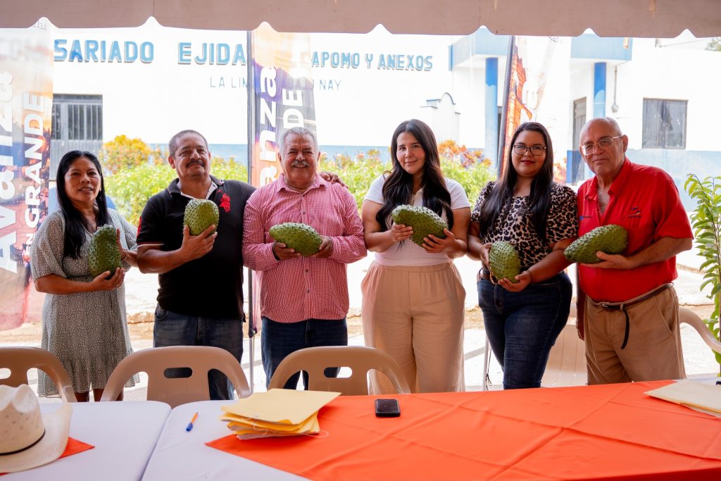 Impulsan rehabilitación de huertos de guanábana en Compostela con entrega de 10 mil plantas