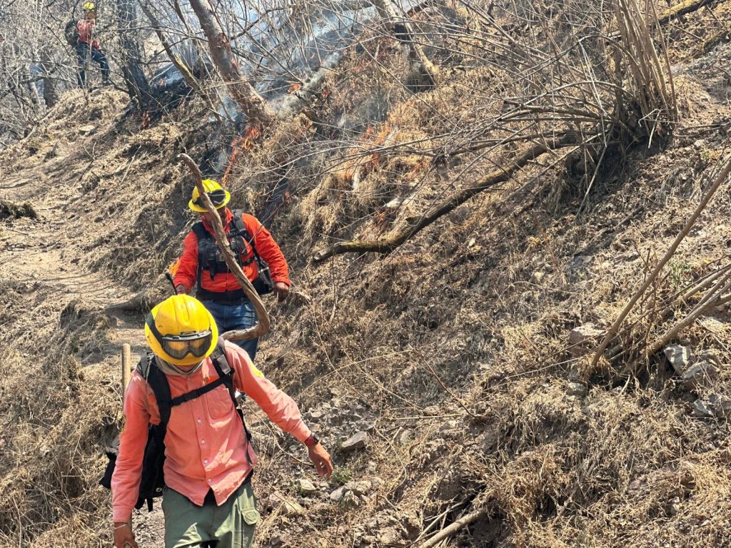 Continúan labores para controlar incendio en Cerro El Vigía en La Yesca
