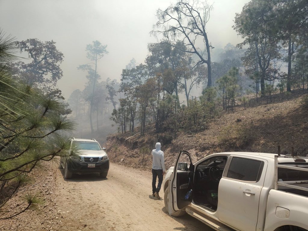 Incendio forestal en la sierra de Nayarit genera riesgo en carretera