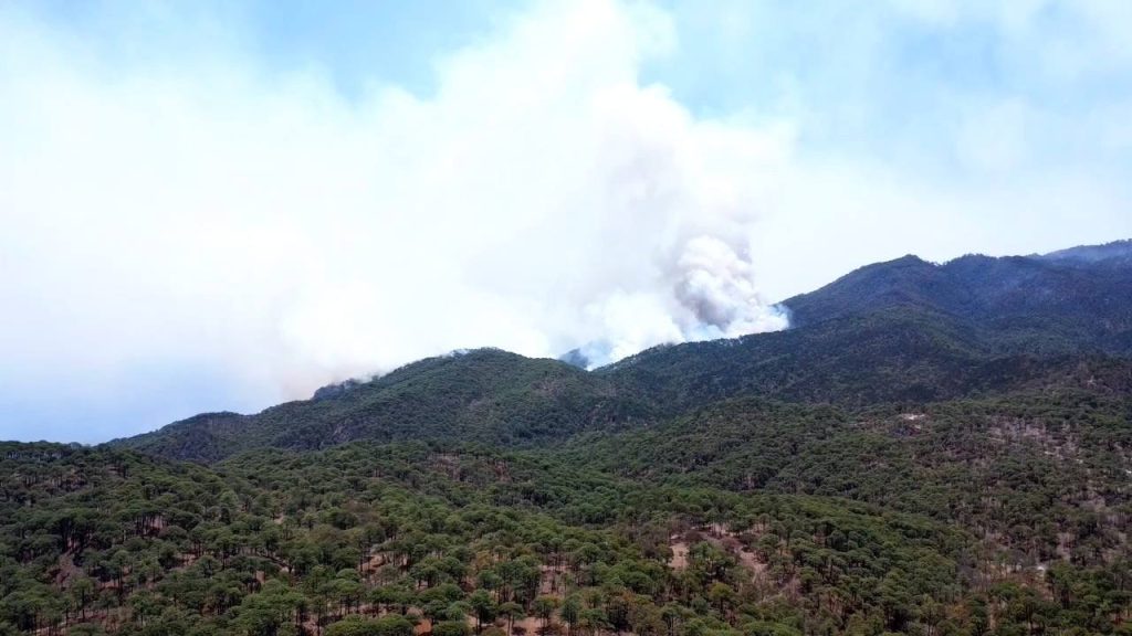 Incendio forestal en la sierra de Nayarit genera riesgo en carretera