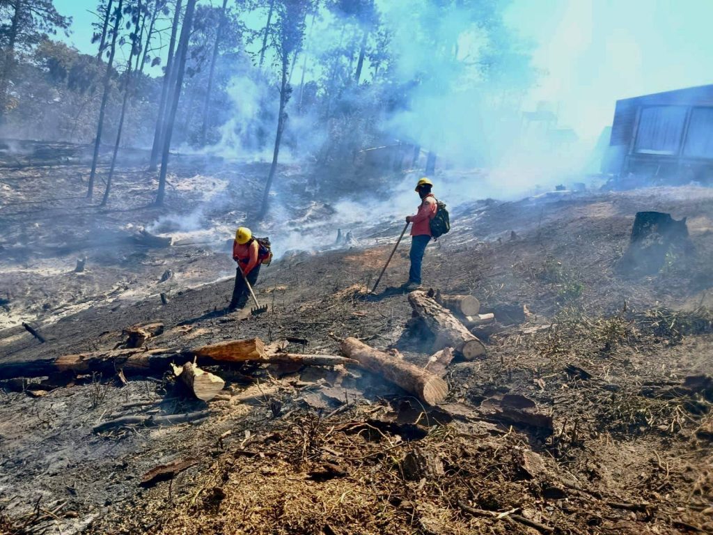 COFONAY controla conato de incendio en el cerro de San Juan en Xalisco