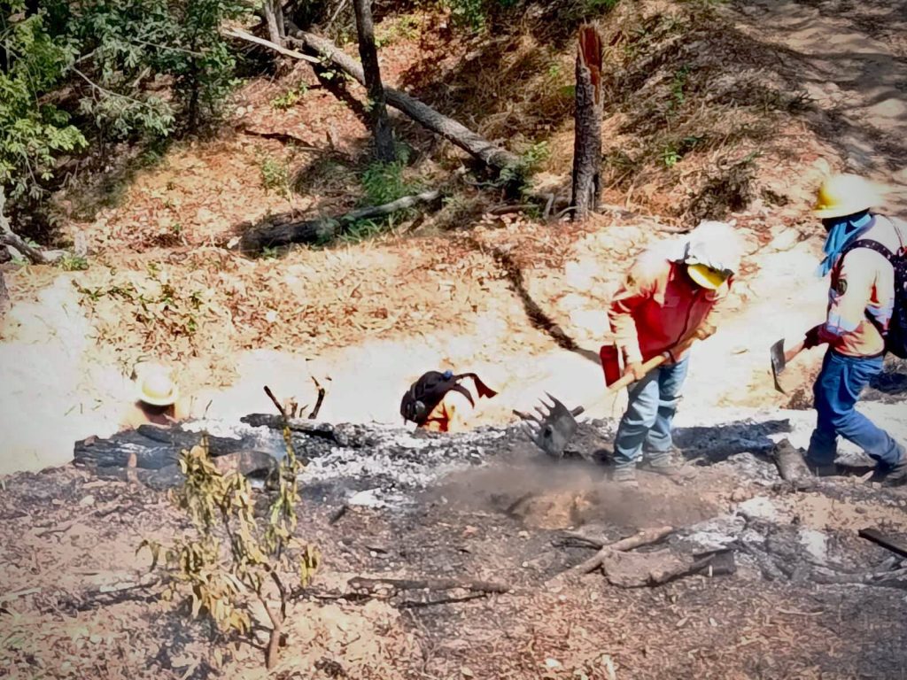 COFONAY controla conato de incendio en el cerro de San Juan en Xalisco