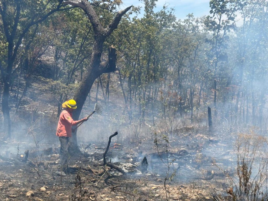 Avanza control del incendio forestal en El Ocotillo, municipio de Santa María del Oro