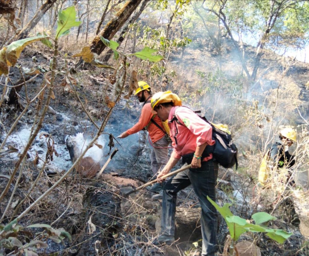 Avanza control del incendio forestal en El Ocotillo, municipio de Santa María del Oro