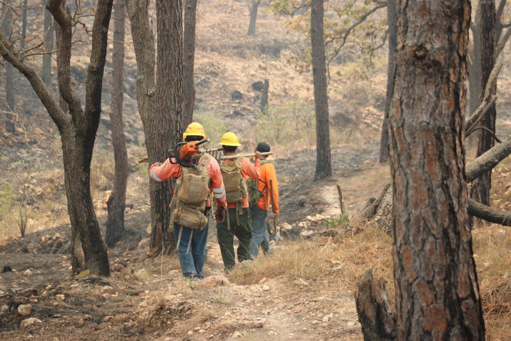 Controlan incendio forestal en Ixtlán del Río tras tres días de labores interestatales 1 Controlan incendio forestal en Ixtlán del Río tras tres días de labores interestatales