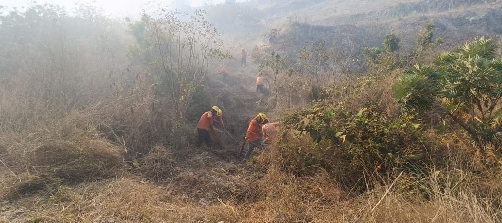 Controlan conato de incendio en el paraje Mesa de la Rosa en Tepic