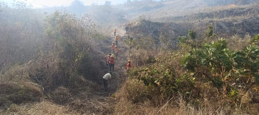 Controlan conato de incendio en el paraje Mesa de la Rosa en Tepic