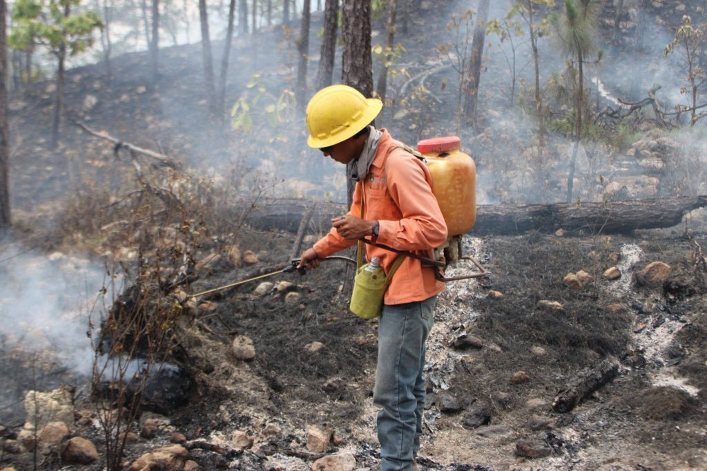 Controlan incendio forestal en Ixtlán del Río tras tres días de labores interestatales 2 Controlan incendio forestal en Ixtlán del Río tras tres días de labores interestatales
