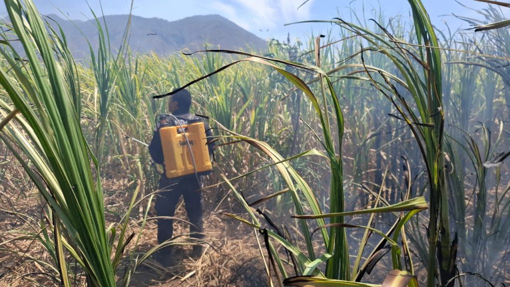 Incendio en camino a la laguna de San Pedro Lagunillas es controlado; mantienen vigilancia preventiva en la zona 1 Incendio en camino a la laguna de San Pedro Lagunillas es controlado; mantienen vigilancia preventiva en la zona