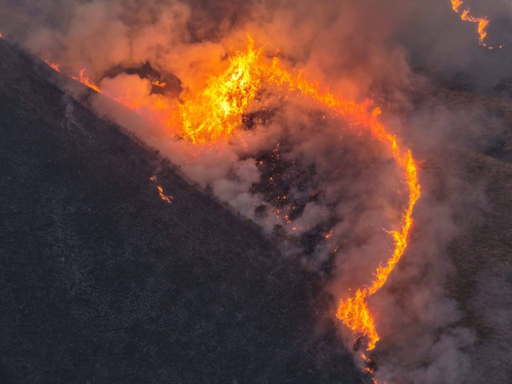 Gobierno de Nayarit aplica estrategia de fuego controlado para contener incendio forestal en el cerro San Juan 1 Gobierno de Nayarit aplica estrategia de fuego controlado para contener incendio forestal en el cerro San Juan