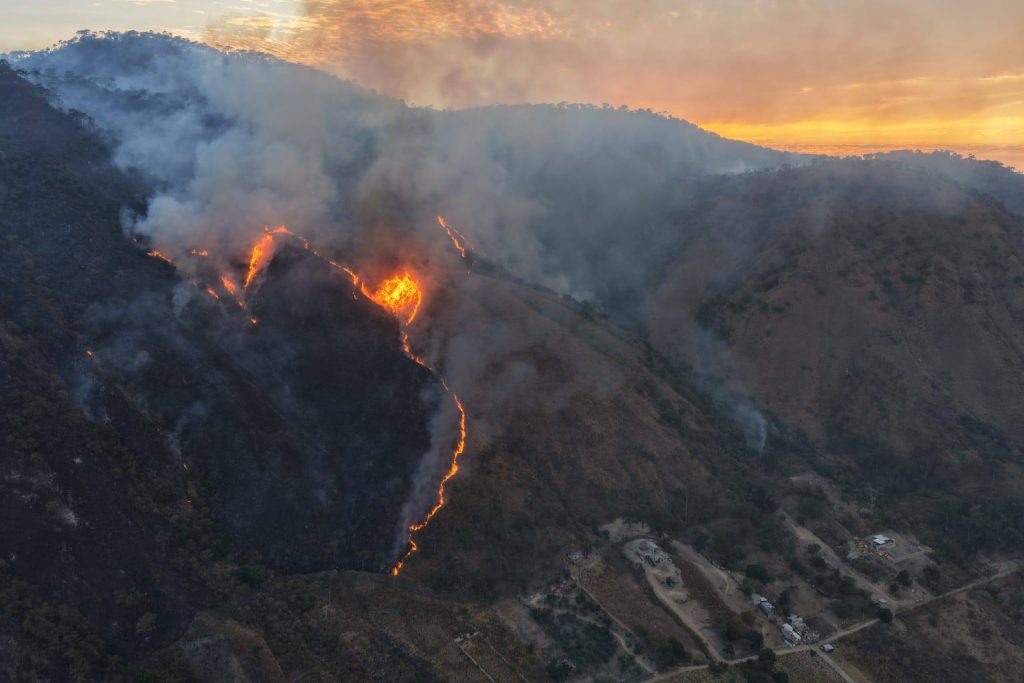Gobierno de Nayarit aplica estrategia de fuego controlado para contener incendio forestal en el cerro San Juan 2 Gobierno de Nayarit aplica estrategia de fuego controlado para contener incendio forestal en el cerro San Juan
