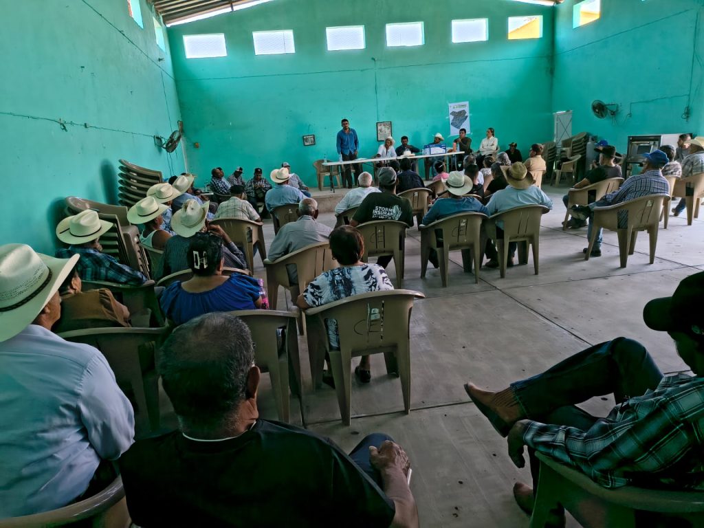 Campaña de prevención contra el gusano barrenador fortalece la protección del sector ganadero en Santa Cruz de Camotlán
