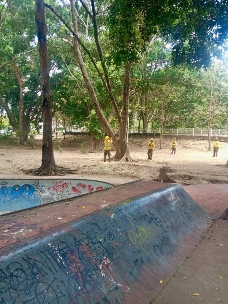 Gobierno de Nayarit realiza poda preventiva y retiro de árboles en La Loma para reforzar la seguridad 2 Gobierno de Nayarit realiza poda preventiva y retiro de árboles en La Loma para reforzar la seguridad