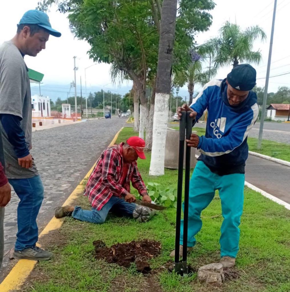 Servicios públicos Jala fortalecen el mantenimiento de espacios para la ciudadanía 2 Servicios públicos Jala fortalecen el mantenimiento de espacios para la ciudadanía