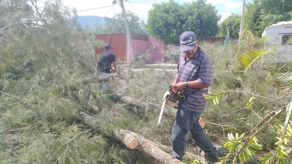 Protección Civil Ahuacatlán atiende caída de árboles que representaban riesgo para una vivienda en El Llano 2 Protección Civil Ahuacatlán atiende caída de árboles que representaban riesgo para una vivienda en El Llano