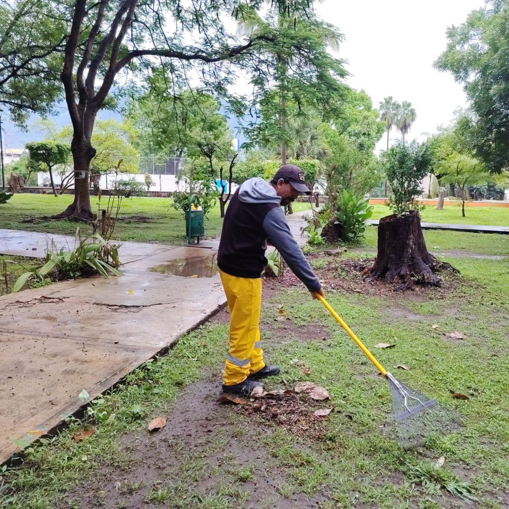 Gobierno de Tepic realiza mantenimiento preventivo en el parque Alameda 1 Gobierno de Tepic realiza mantenimiento preventivo en el parque Alameda