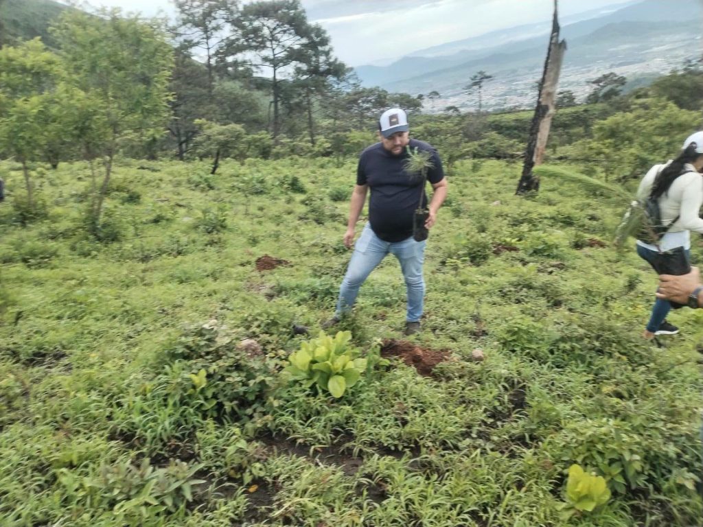 Reforestación en la Sierra de San Juan fortalece la conservación ambiental en Nayarit 1 Reforestación en la Sierra de San Juan fortalece la conservación ambiental en Nayarit