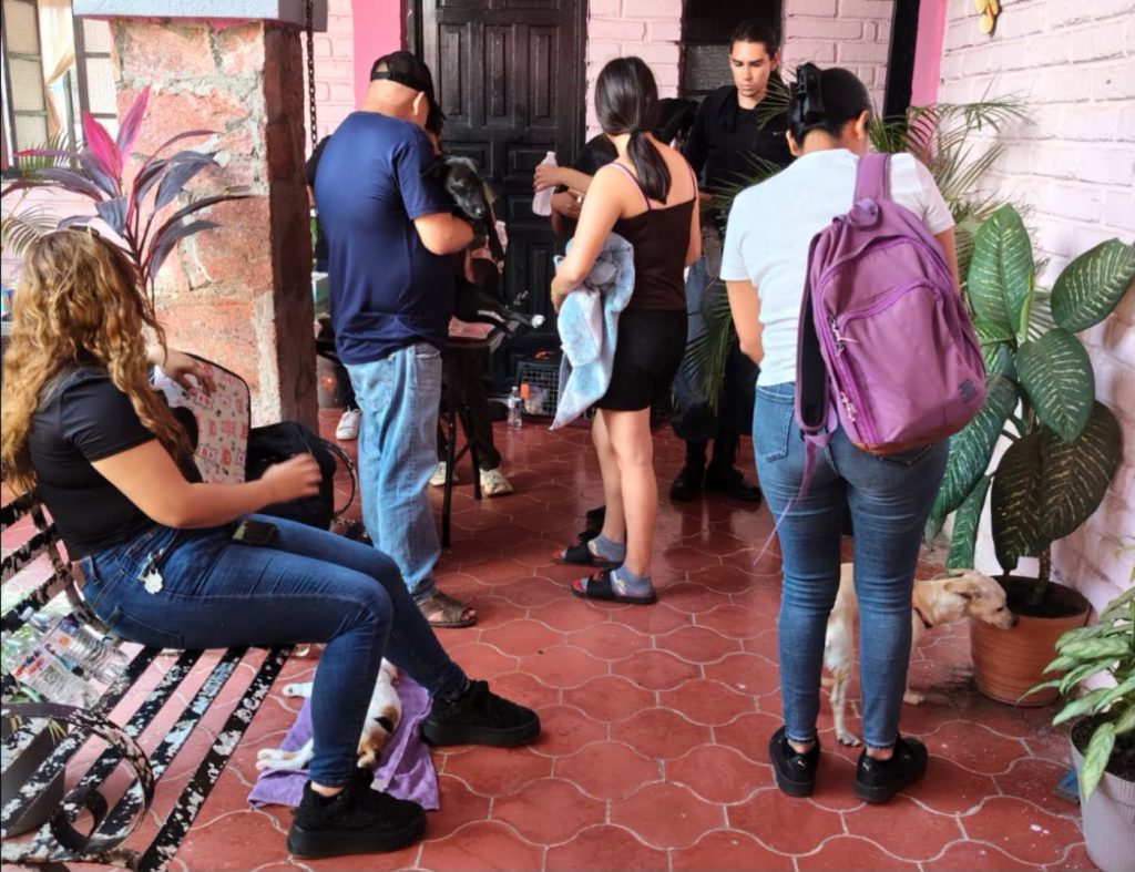 Jala fortalece el bienestar animal con tercera jornada de esterilización en Jomulco