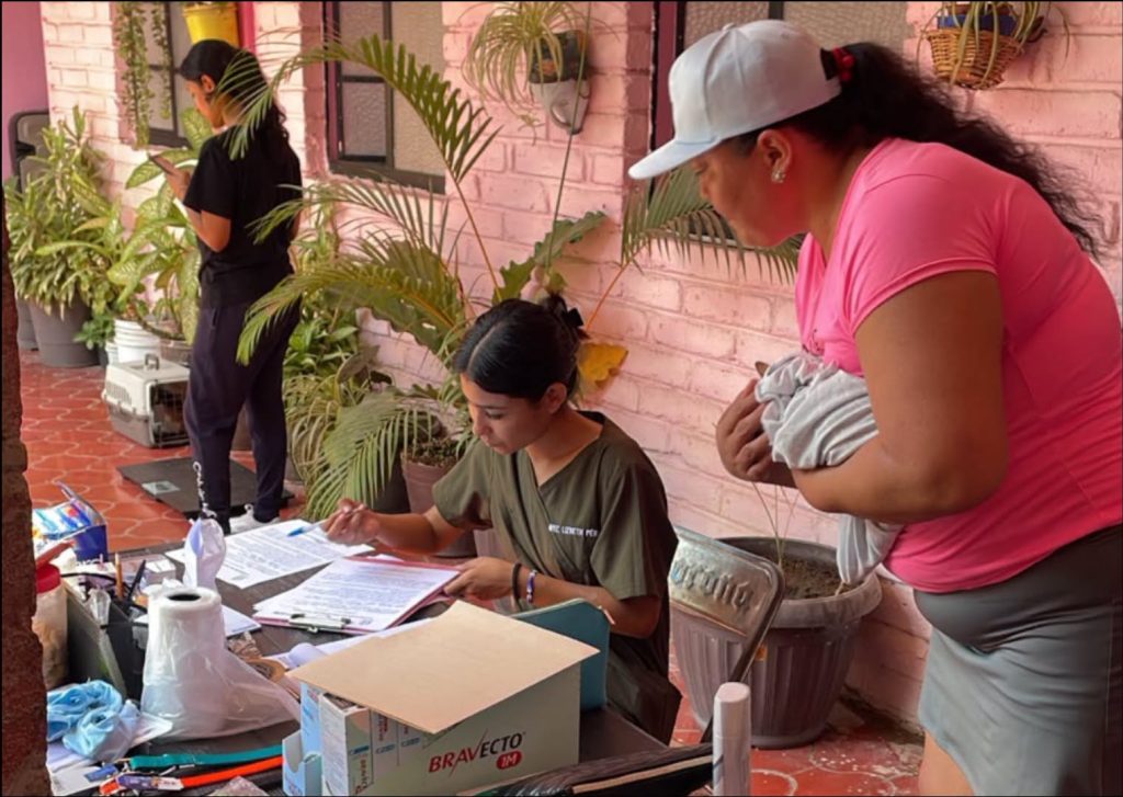 Jala fortalece el bienestar animal con tercera jornada de esterilización en Jomulco