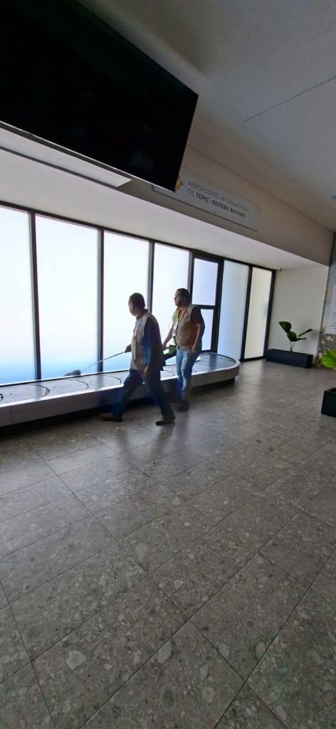 Vigilancia contra mosquitos se fortalece en el Aeropuerto Internacional Tepic-Riviera Nayarit 1 Vigilancia contra mosquitos se fortalece en el Aeropuerto Internacional Tepic-Riviera Nayarit