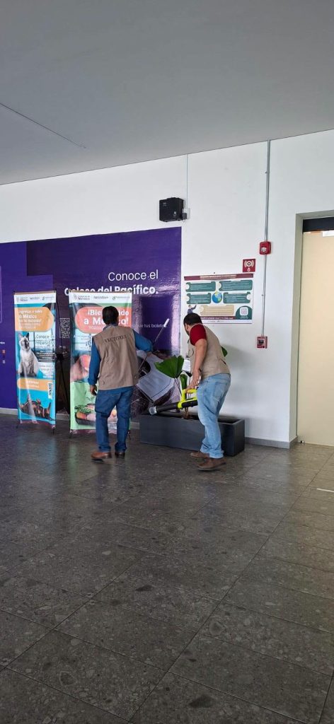 Vigilancia contra mosquitos se fortalece en el Aeropuerto Internacional Tepic-Riviera Nayarit 2 Vigilancia contra mosquitos se fortalece en el Aeropuerto Internacional Tepic-Riviera Nayarit