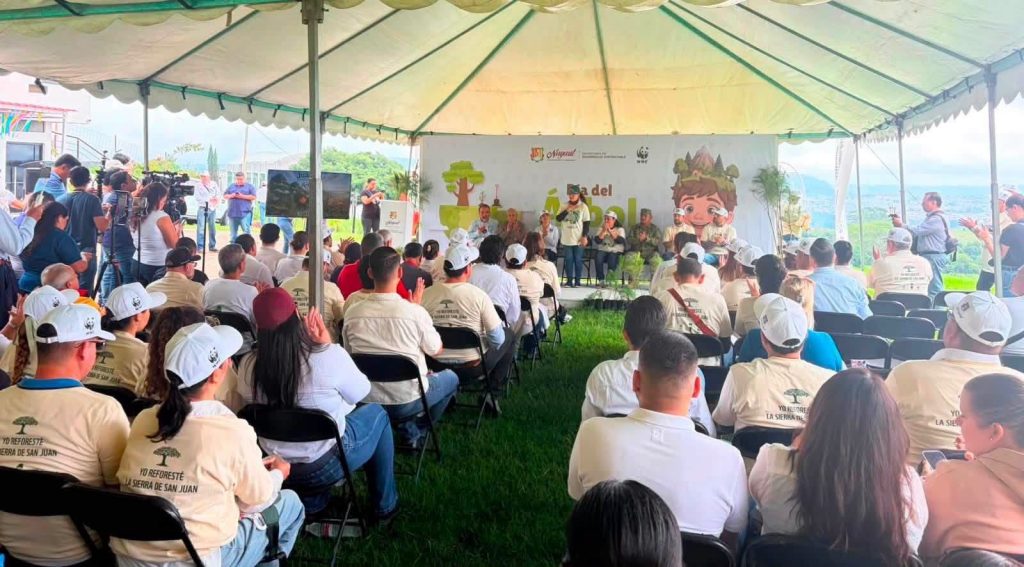 Reforestación Sierra de San Juan fortalece la conservación del hábitat del jaguar en Nayarit 1 Reforestación Sierra de San Juan fortalece la conservación del hábitat del jaguar en Nayarit