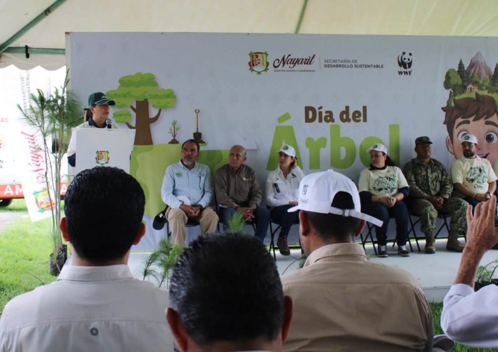 Reforestación Sierra de San Juan fortalece la conservación del hábitat del jaguar en Nayarit 2 Reforestación Sierra de San Juan fortalece la conservación del hábitat del jaguar en Nayarit