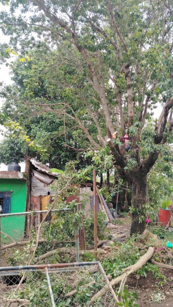 Inician trabajos preliminares para la construcción de bocas de tormenta en la colonia Demetrio Vallejo
