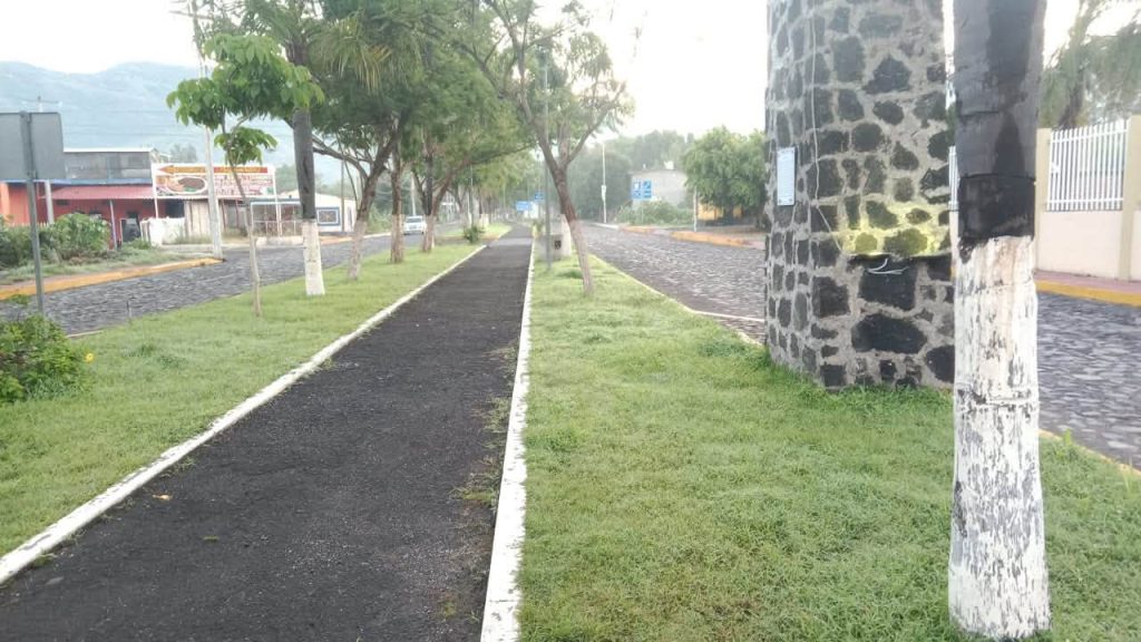 Jala fortalece el mantenimiento urbano con jornada permanente de poda y conservación de espacios públicos