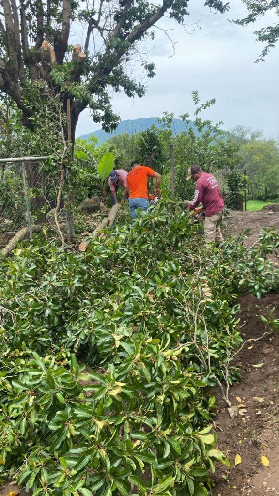 Inician trabajos preliminares para la construcción de bocas de tormenta en la colonia Demetrio Vallejo