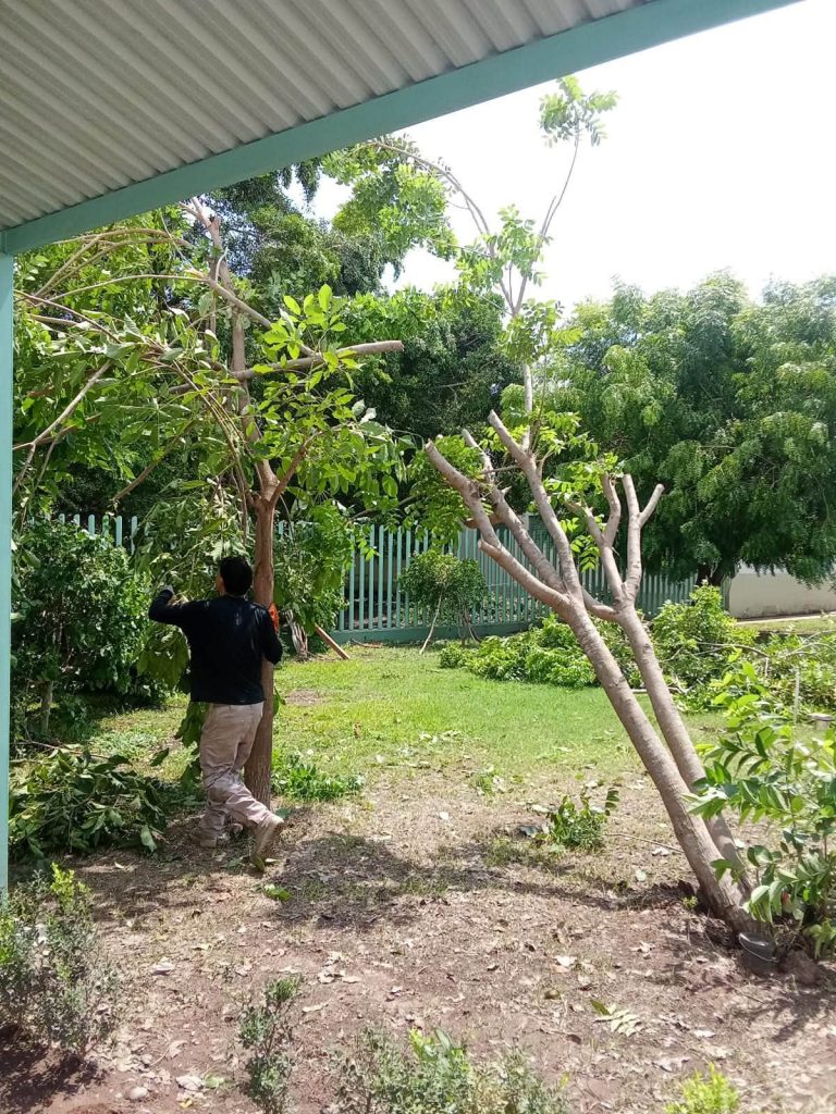 Gobierno de Tuxpan mantiene operativo para liberar vialidades tras las lluvias