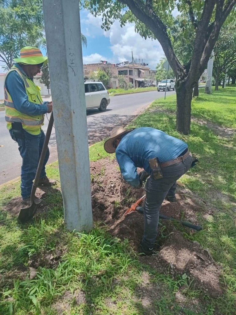Alumbrado público fortalece la iluminación en colonias de Tepic con trabajos de mantenimiento 2 Alumbrado público fortalece la iluminación en colonias de Tepic con trabajos de mantenimiento