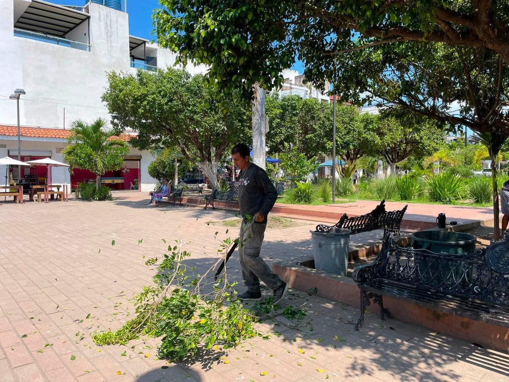 San Blas refuerza el mantenimiento de la Plaza Principal con trabajos de poda preventiva 1 San Blas refuerza el mantenimiento de la Plaza Principal con trabajos de poda preventiva