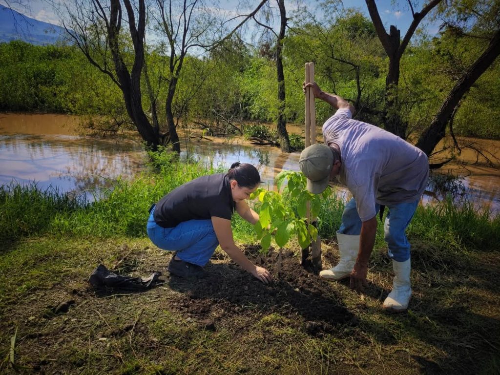 Xalisco impulsa jornada de reforestación en el Río Mololoa para fortalecer el cuidado ambiental 1 Xalisco impulsa jornada de reforestación en el Río Mololoa para fortalecer el cuidado ambiental