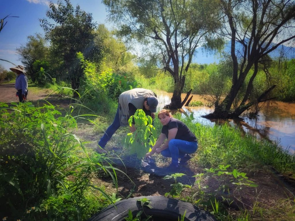 Xalisco impulsa jornada de reforestación en el Río Mololoa para fortalecer el cuidado ambiental 2 Xalisco impulsa jornada de reforestación en el Río Mololoa para fortalecer el cuidado ambiental