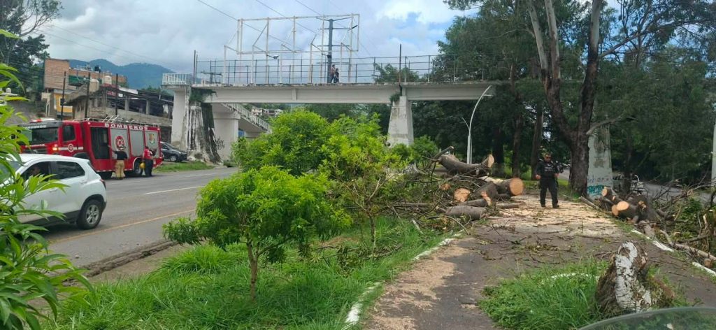 Gobierno de Nayarit fortalece acciones preventivas en el Parque Lineal de Tepic 1 Gobierno de Nayarit fortalece acciones preventivas en el Parque Lineal de Tepic