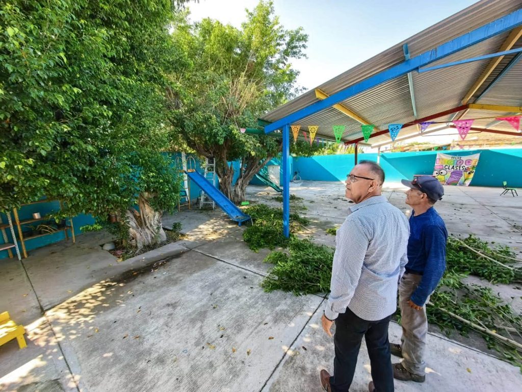 Realizan limpieza y poda de árboles en el preescolar Rosaura Zapata de Ahuacatlán